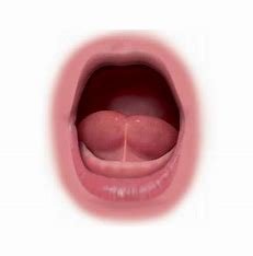 Valoración de Frenillo Lingual (Anquiloglosia)